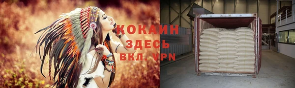 хмурый Богородицк