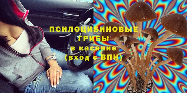 хмурый Богородицк