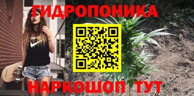 стаф Волгодонск