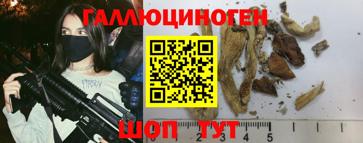 Псилоцибиновые грибы Psilocybe  Вход с VPN  Зеленодольск 
