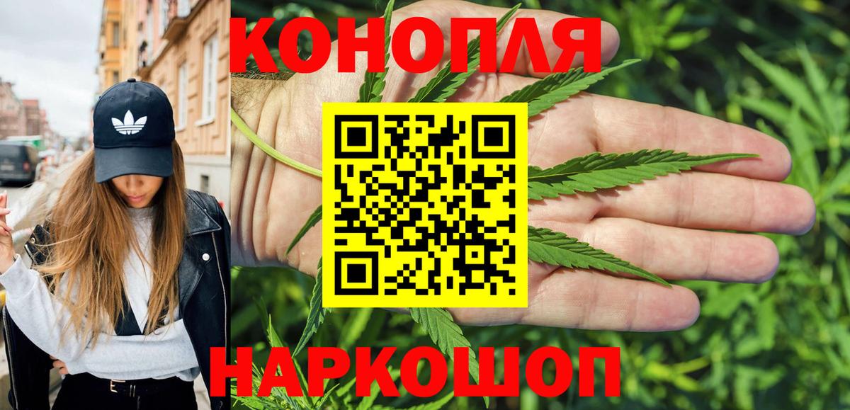 Марихуана сатива Зеленодольск